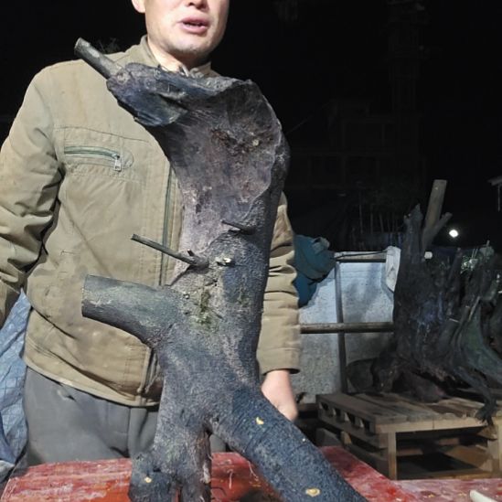 良***有无花朵山里人家金单子