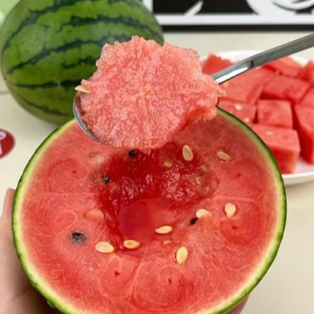 小糖丸西瓜 一个2200g左右云南省