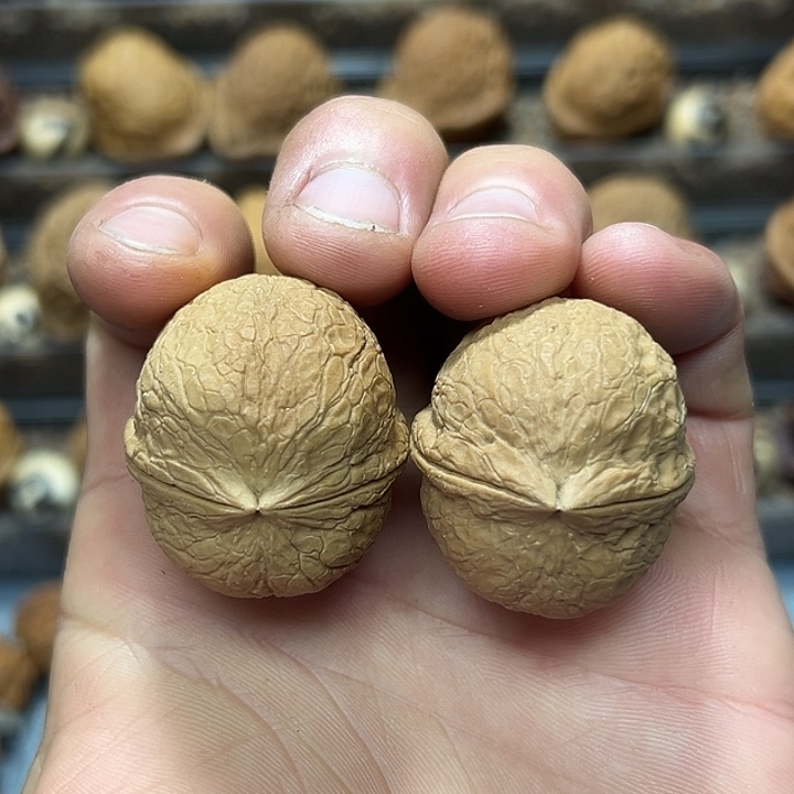 把件文玩核桃19号金蟒35