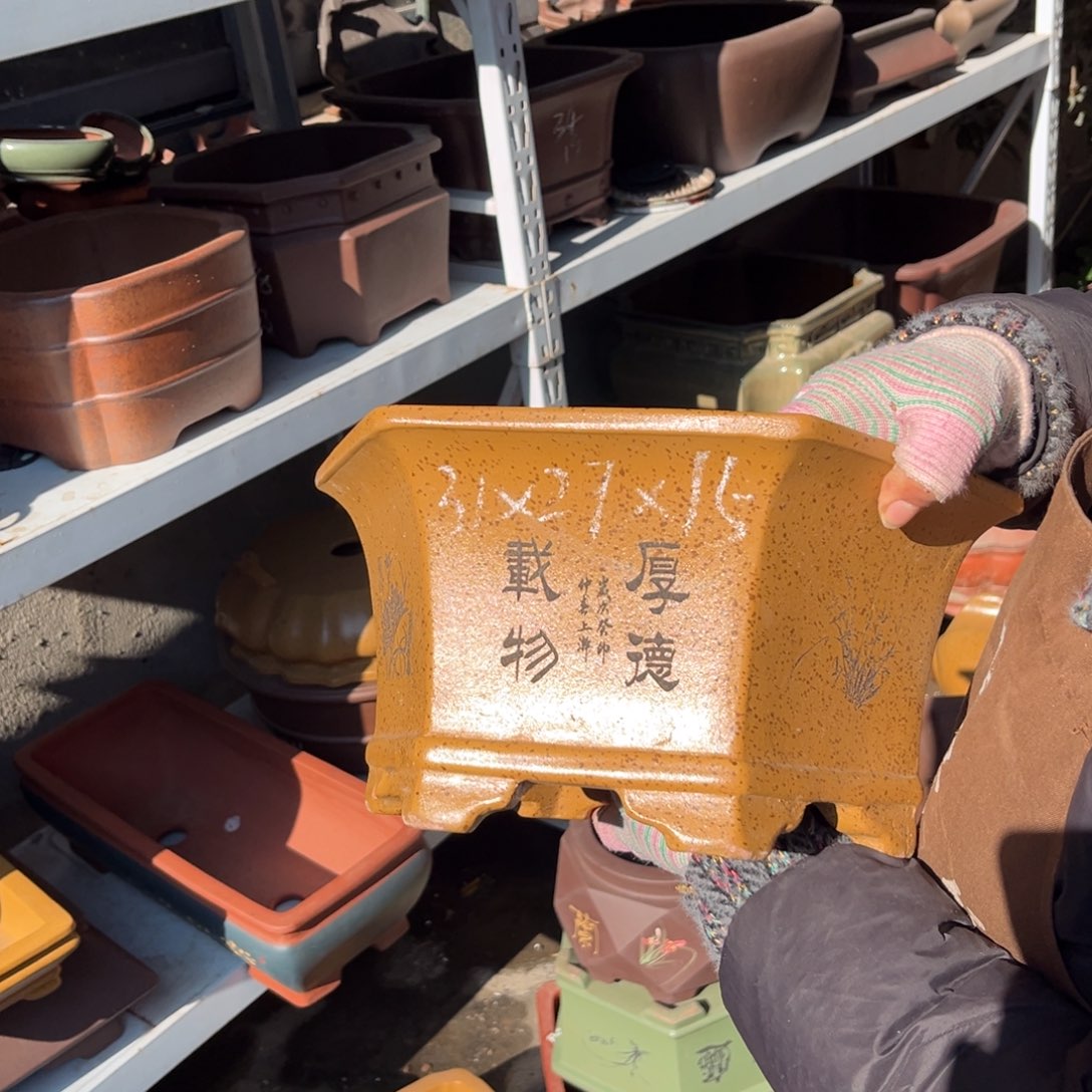 花盆紫砂盆景艺术