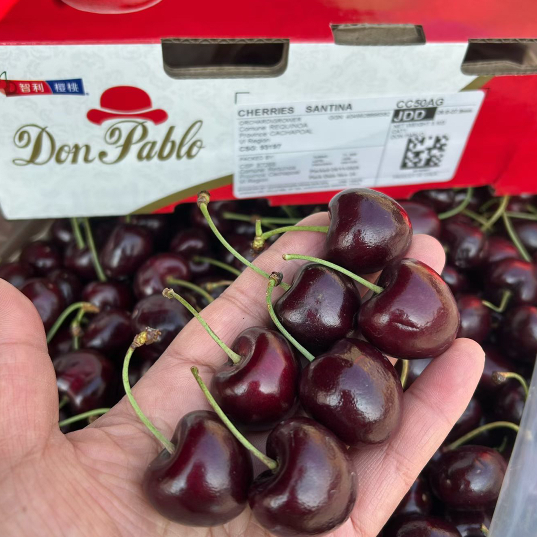 智利进口海运车厘子JDD规格四斤桑提娜智利