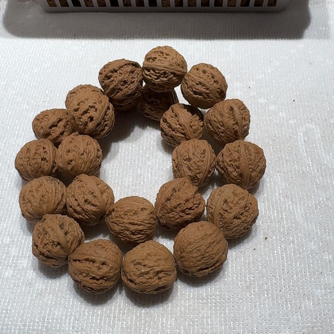 核桃手串/手链85号边24手持