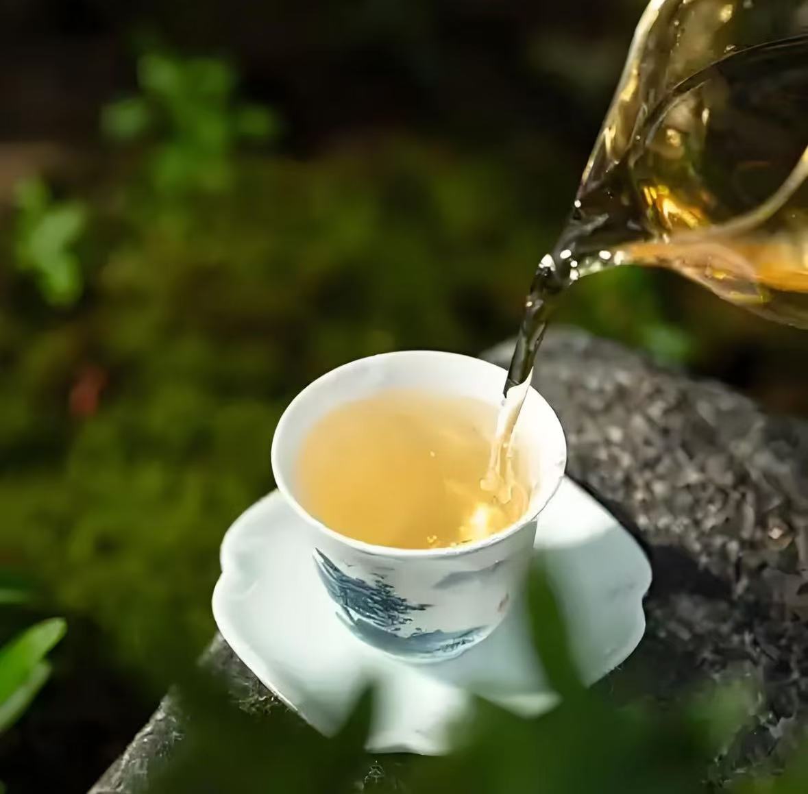 (阿鹏甄选)2019年冰岛茶生茶200克11月28号