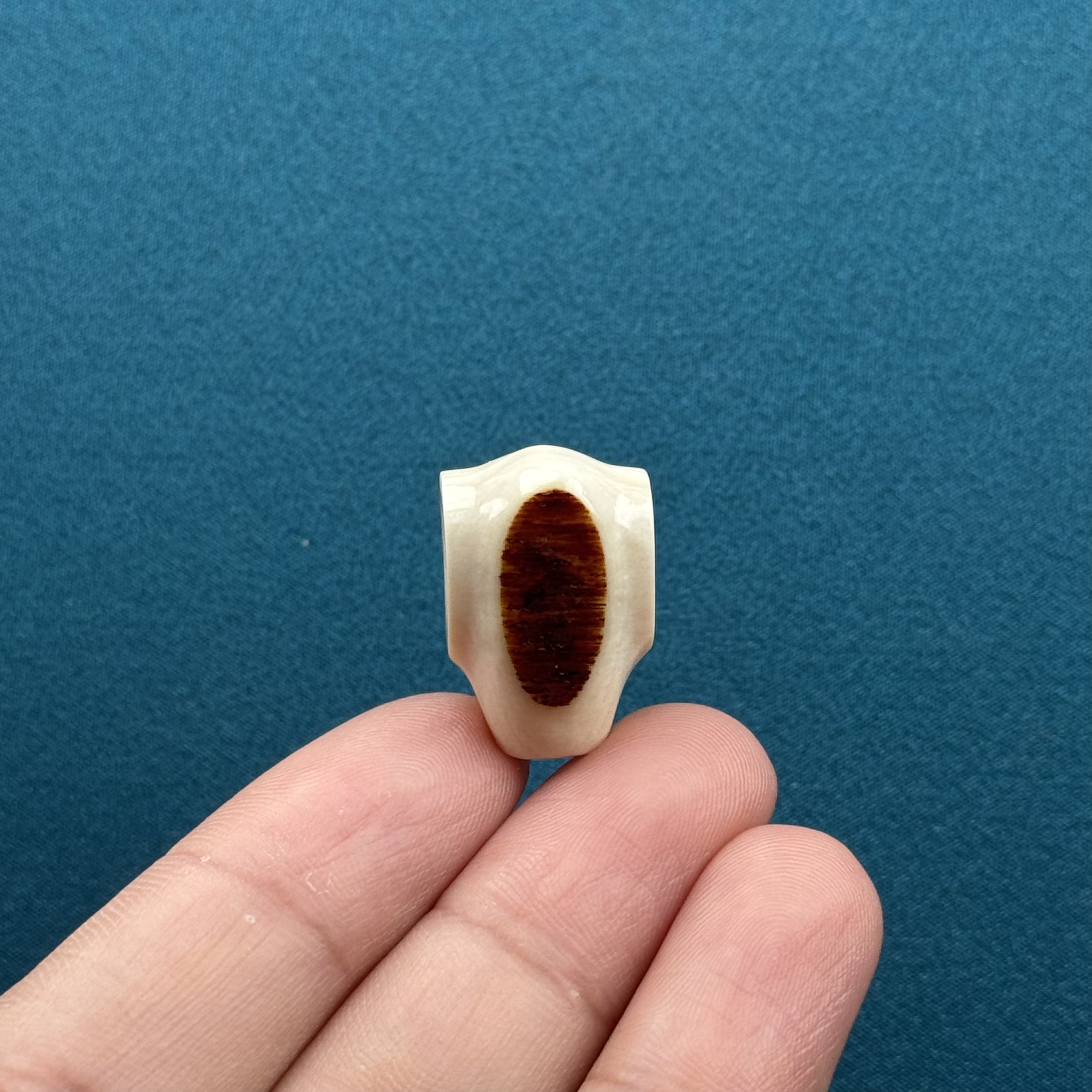 S64-01天然猛犸牙黄金瞳鲨鱼背三通14.5*22mm支持复检假一罚十
