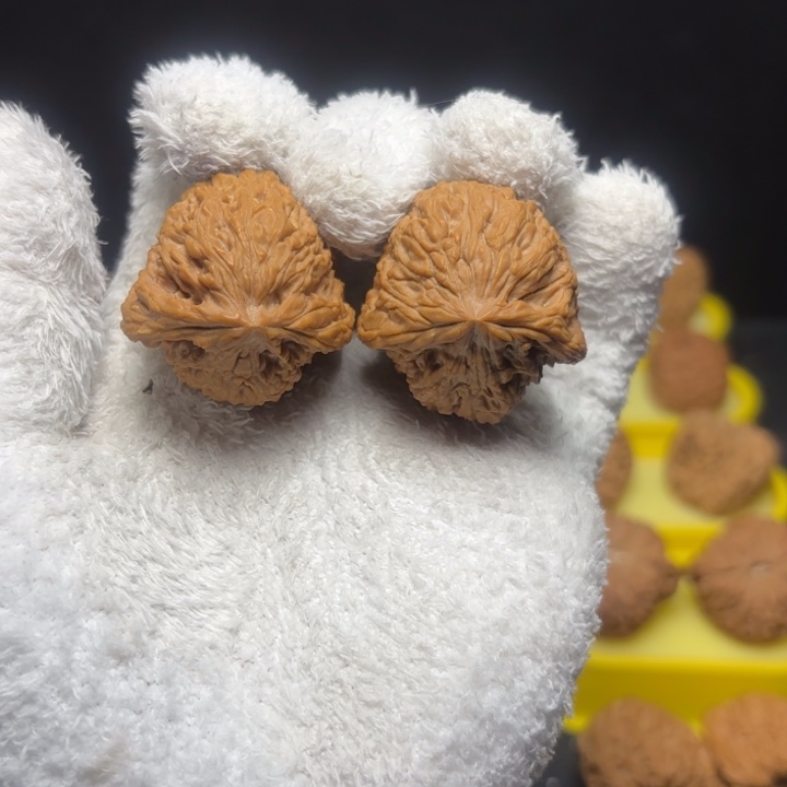 韩***信文玩核桃把件酒杯凹底树皮拉丝龟背高炮36尺17