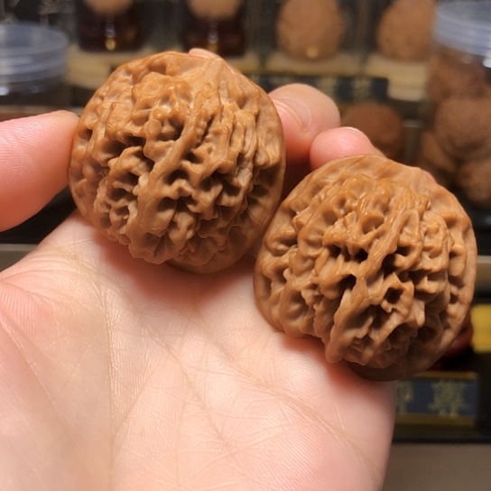 野生小众：秦闷货头