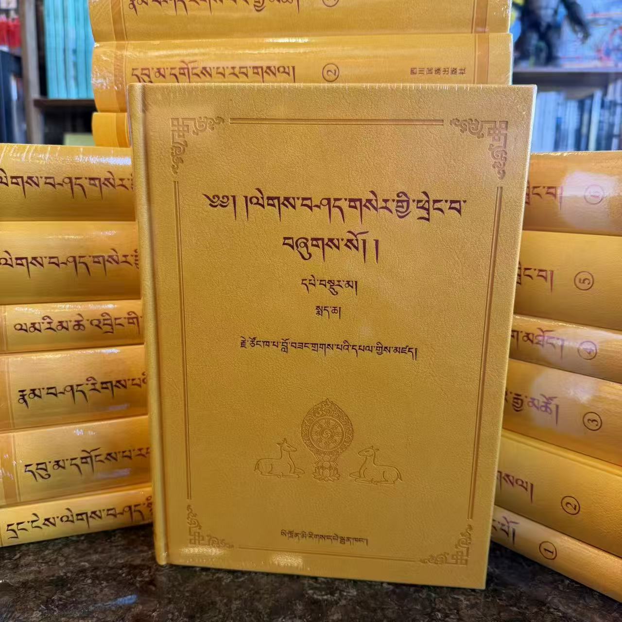 中论广释   角落商店