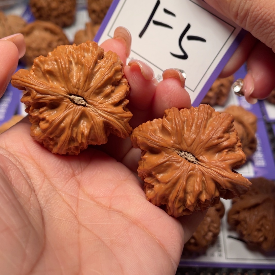 把件桃核5号白狮子44