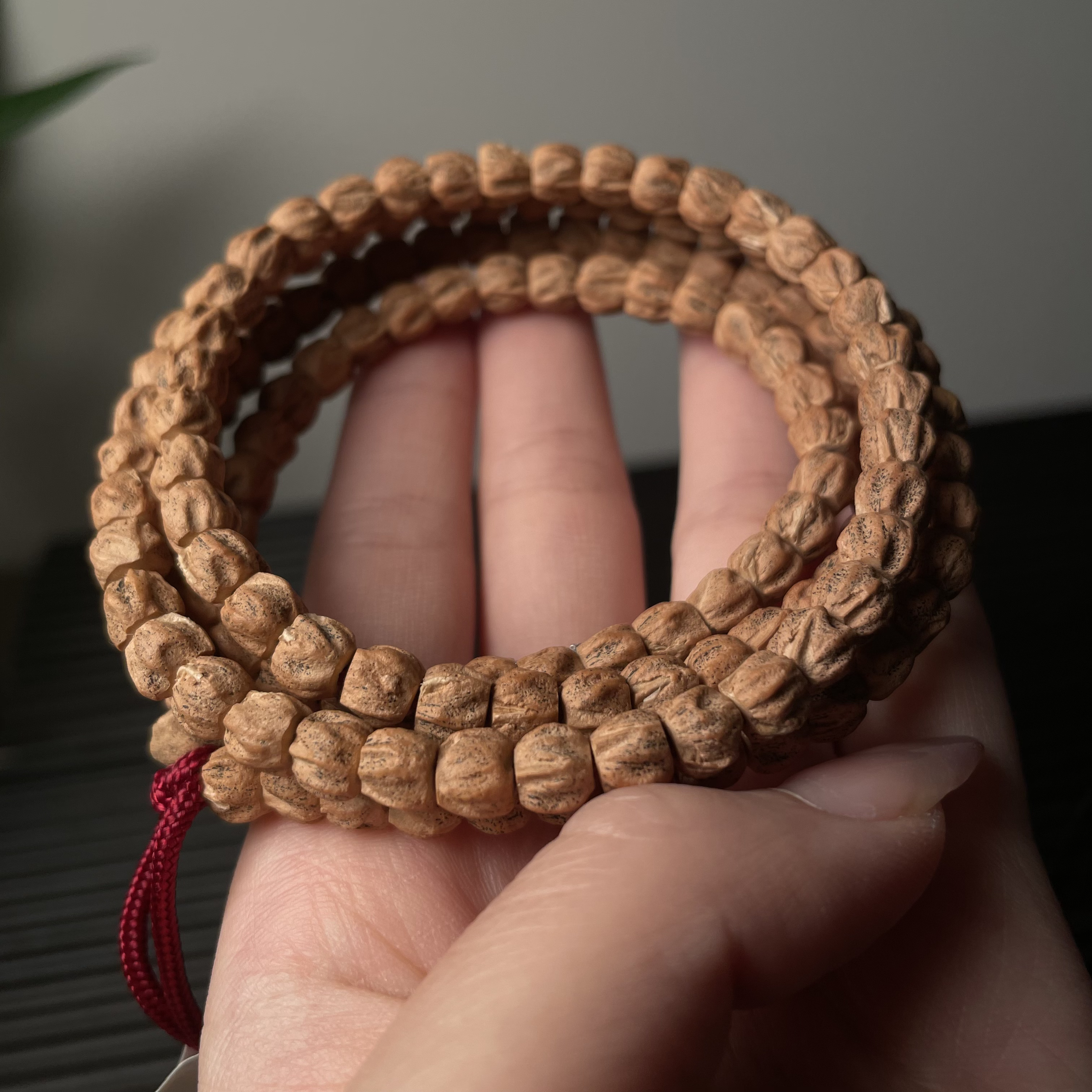 微脏麻皮直切多棱鬼脸