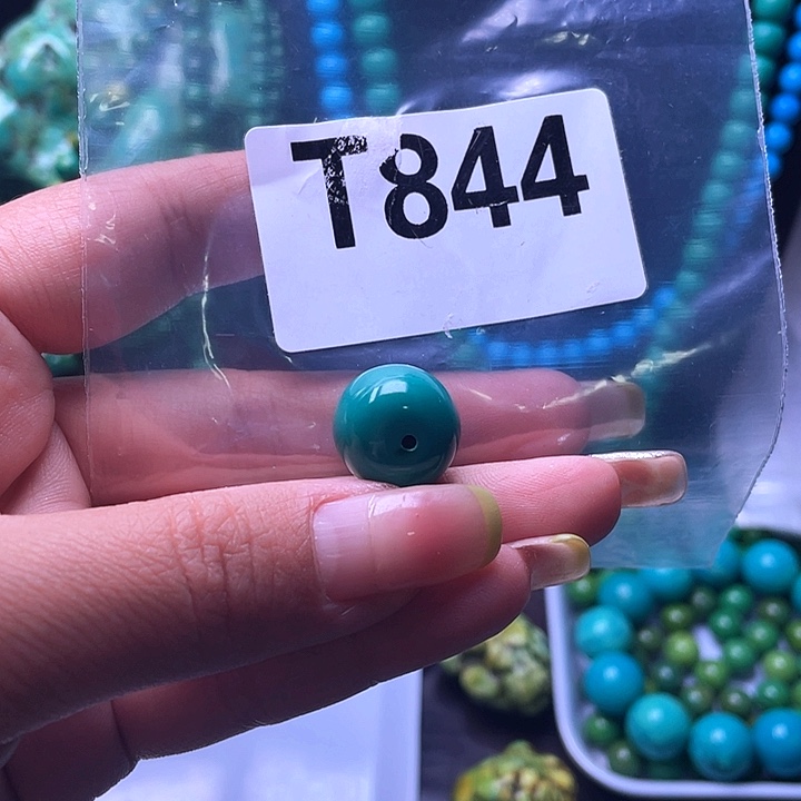 空竹粉丝福利专享