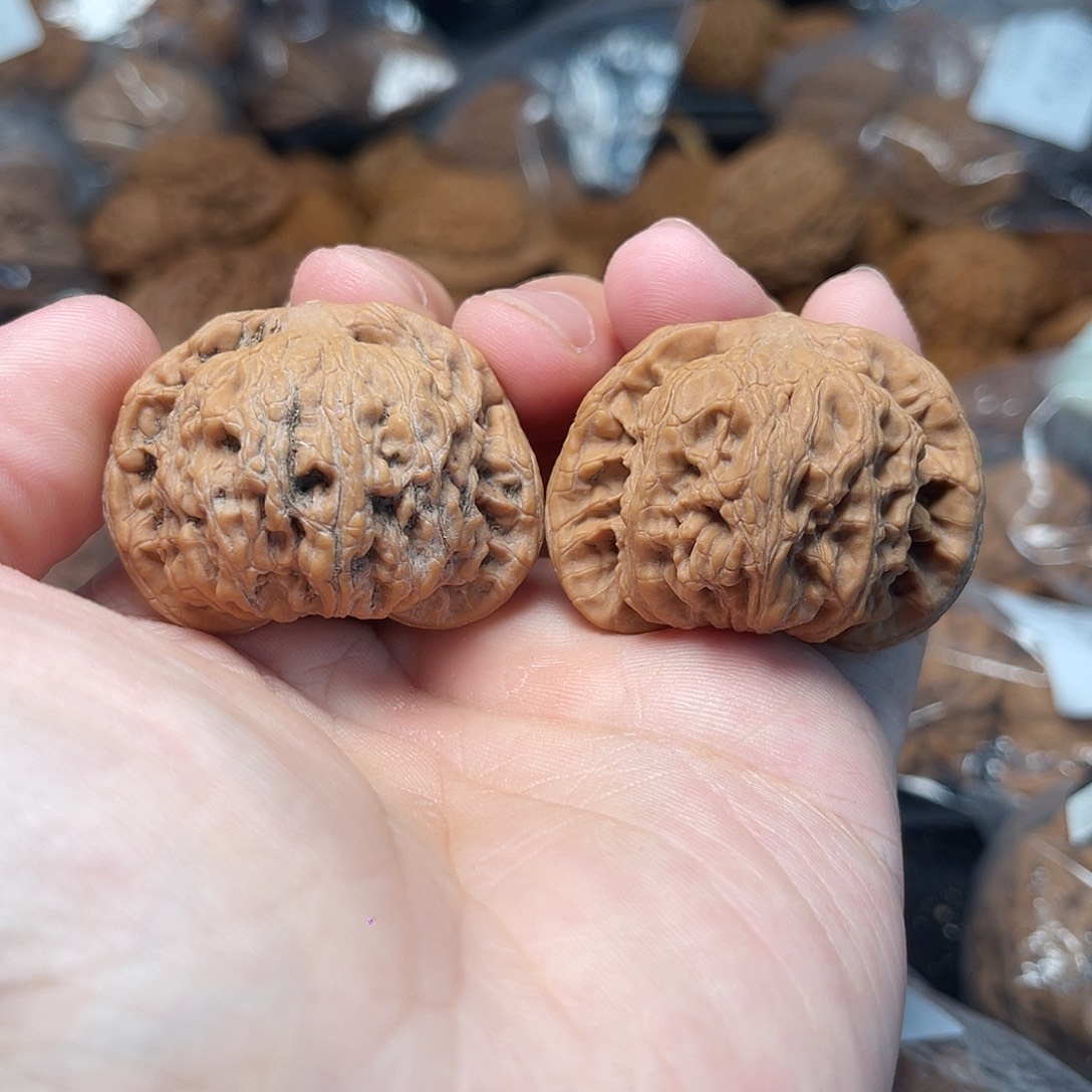 1文玩核桃燕山第一闷40-172