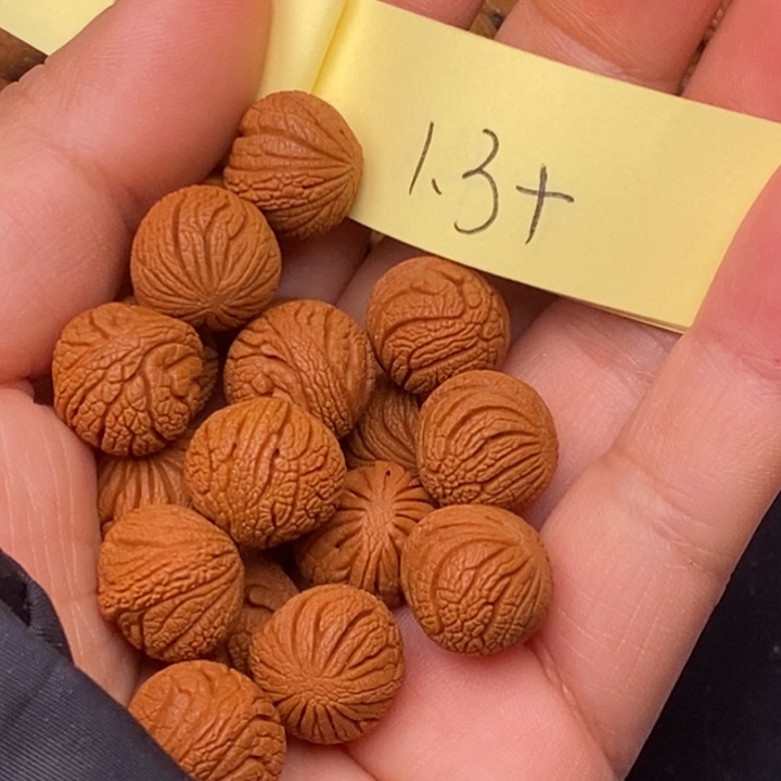 秦岭龙纹桃核18颗