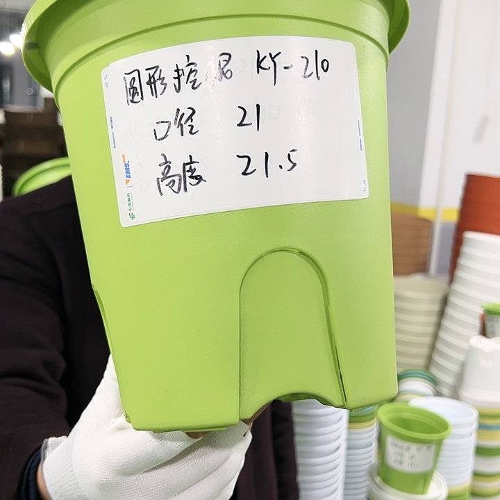 正品圆控口21高21果绿8只无托