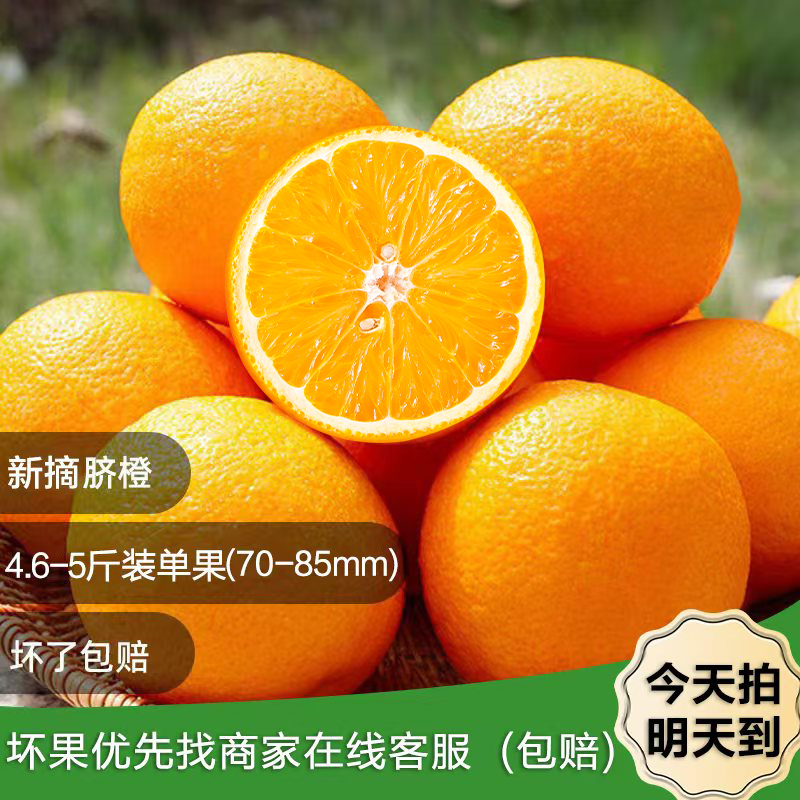 16【包邮次日达】新鲜脐橙4.6-5斤，中大果70-85mm多汁农家现摘