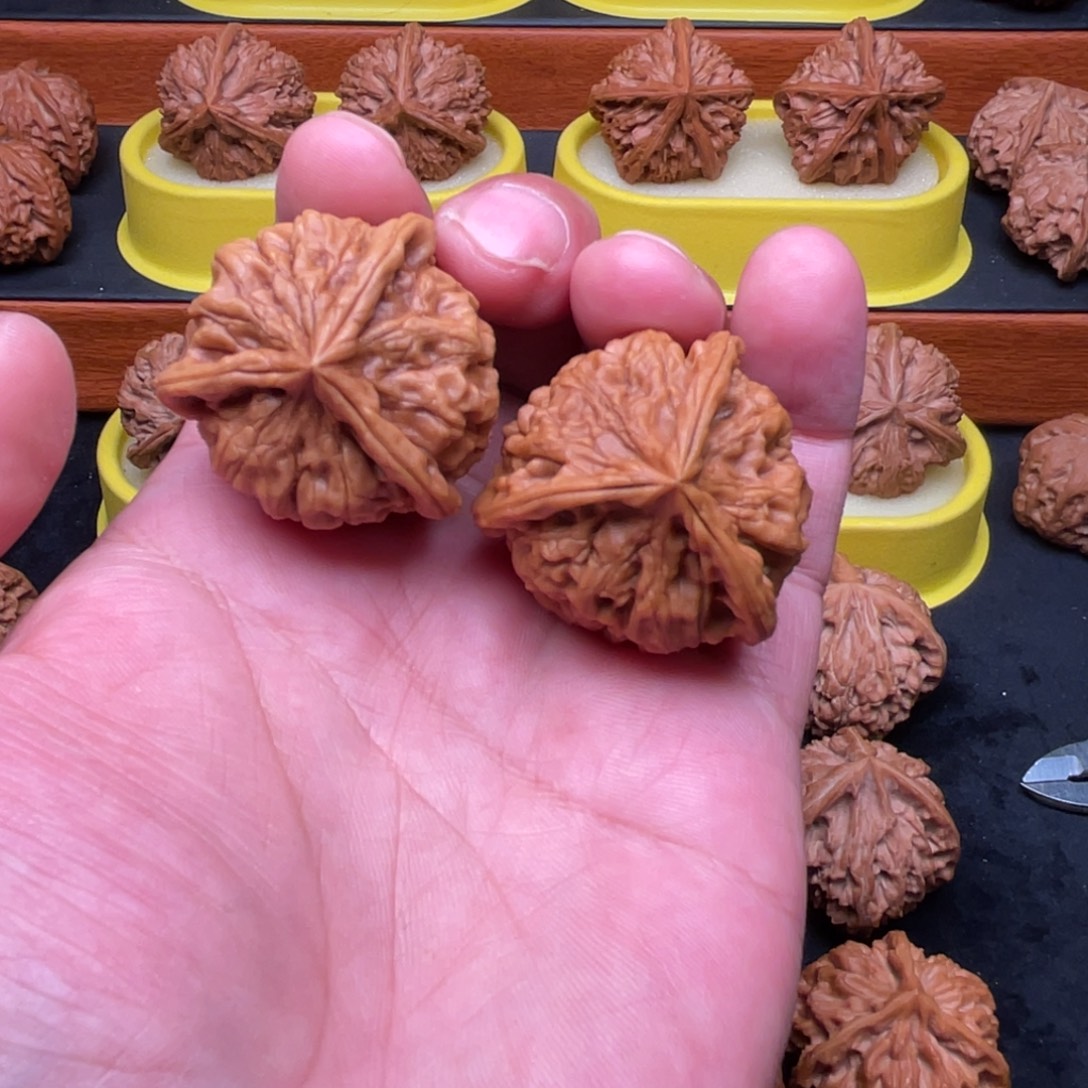 核桃手串/手链玉玺三棱正奔全品38