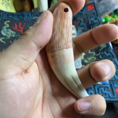 陶官方链接放心拍