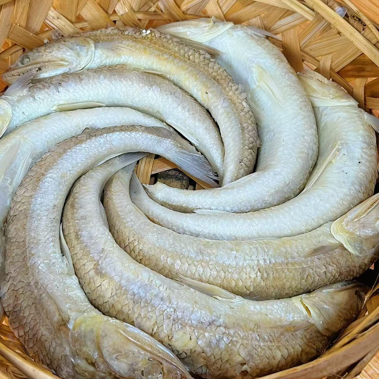 潮汕新鲜那歌鱼饭大条现煮