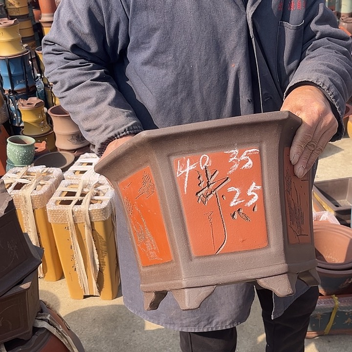 紫砂紫砂花盆和一条