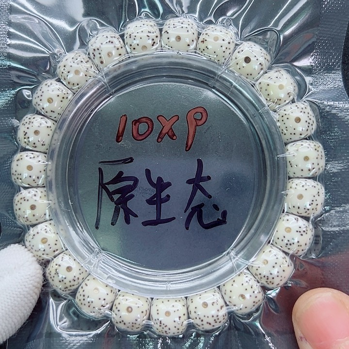 星月菩提吊坠10尺寸