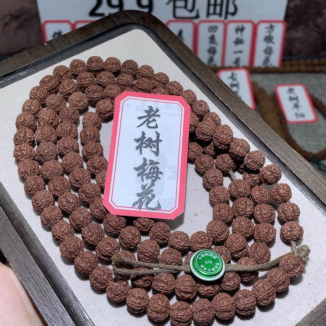 手串金刚菩提312老树梅花