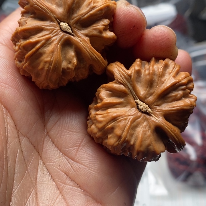 核桃手串/手链平*。白师子