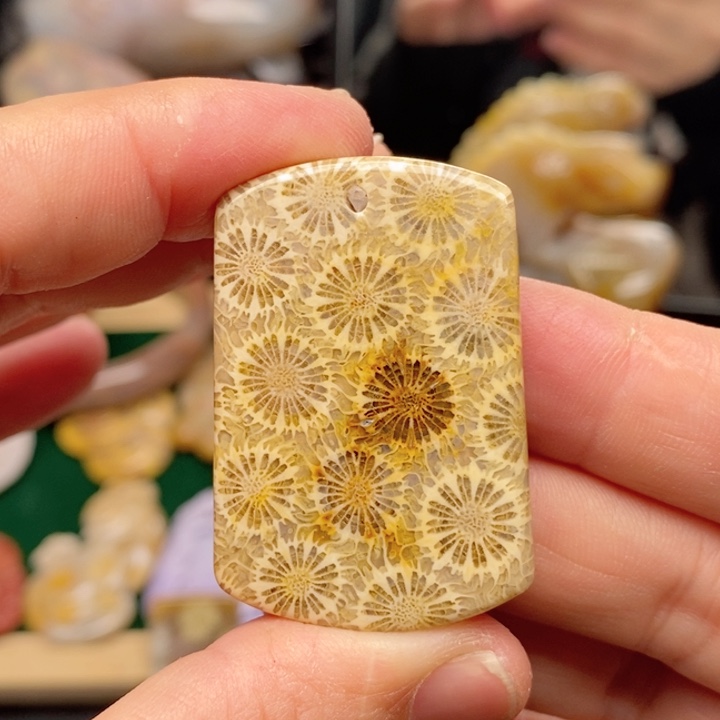 硅化珊瑚（珊瑚玉）手镯未镶嵌骨骼