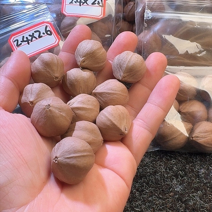 吊坠橄榄核用****82.4❌2.6