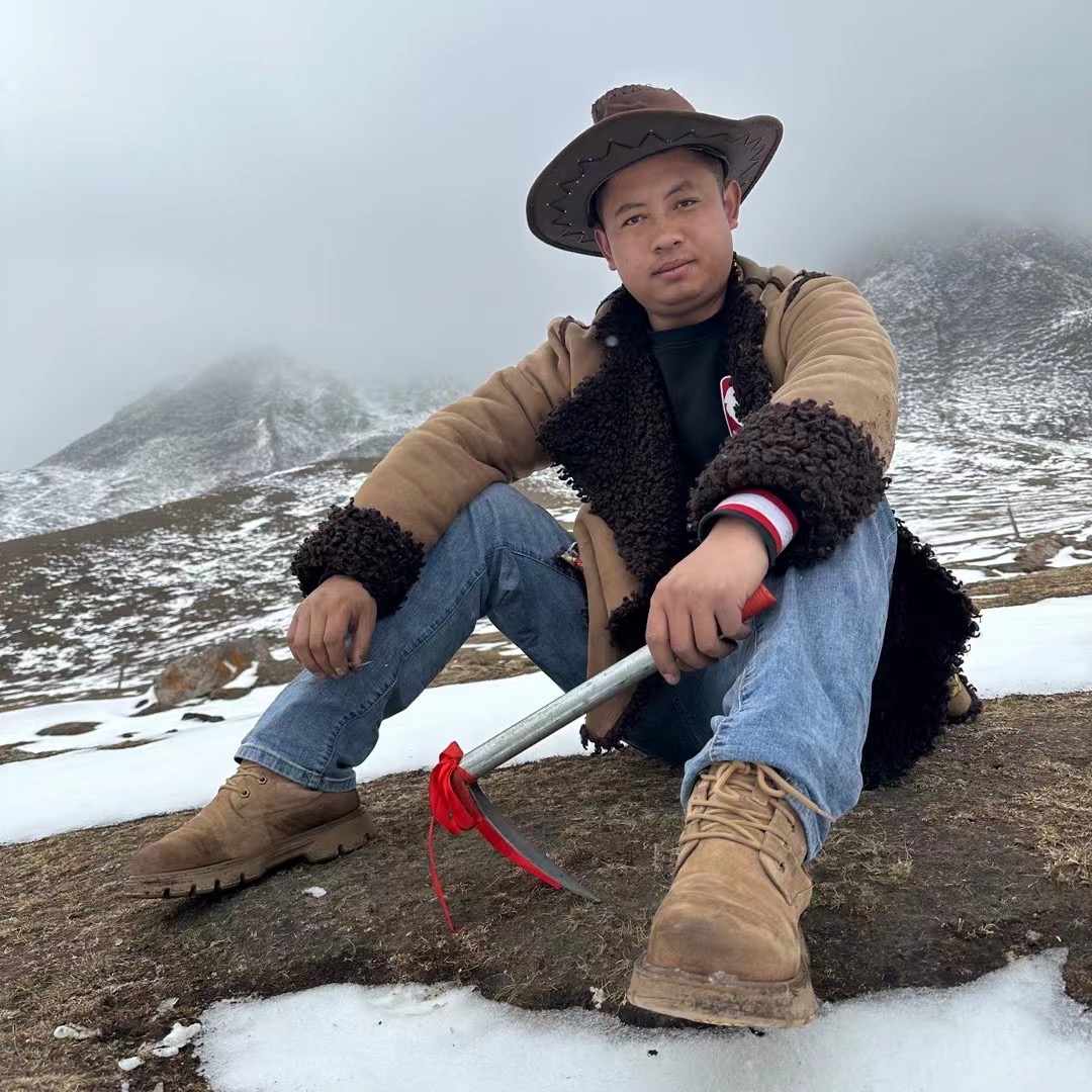 ②50 新鲜冬虫夏草 头期鲜虫草2025年新货顺丰冷链藏区发货