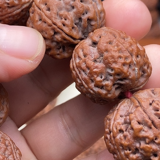 江***画金刚菩提吊坠爆肉蜂王