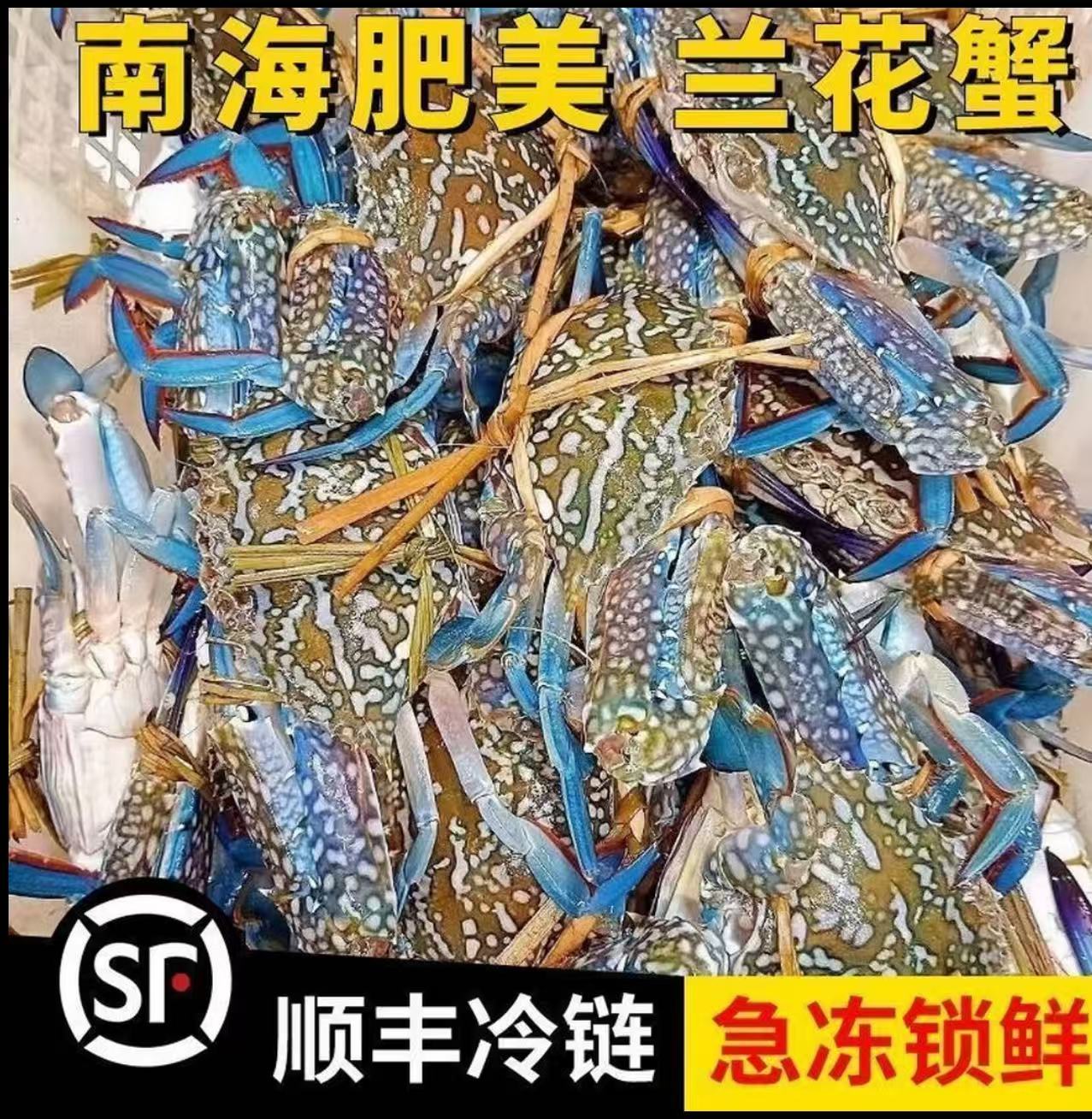 博贺港鲜活速冻兰花蟹（顺丰冷链包邮送上门）