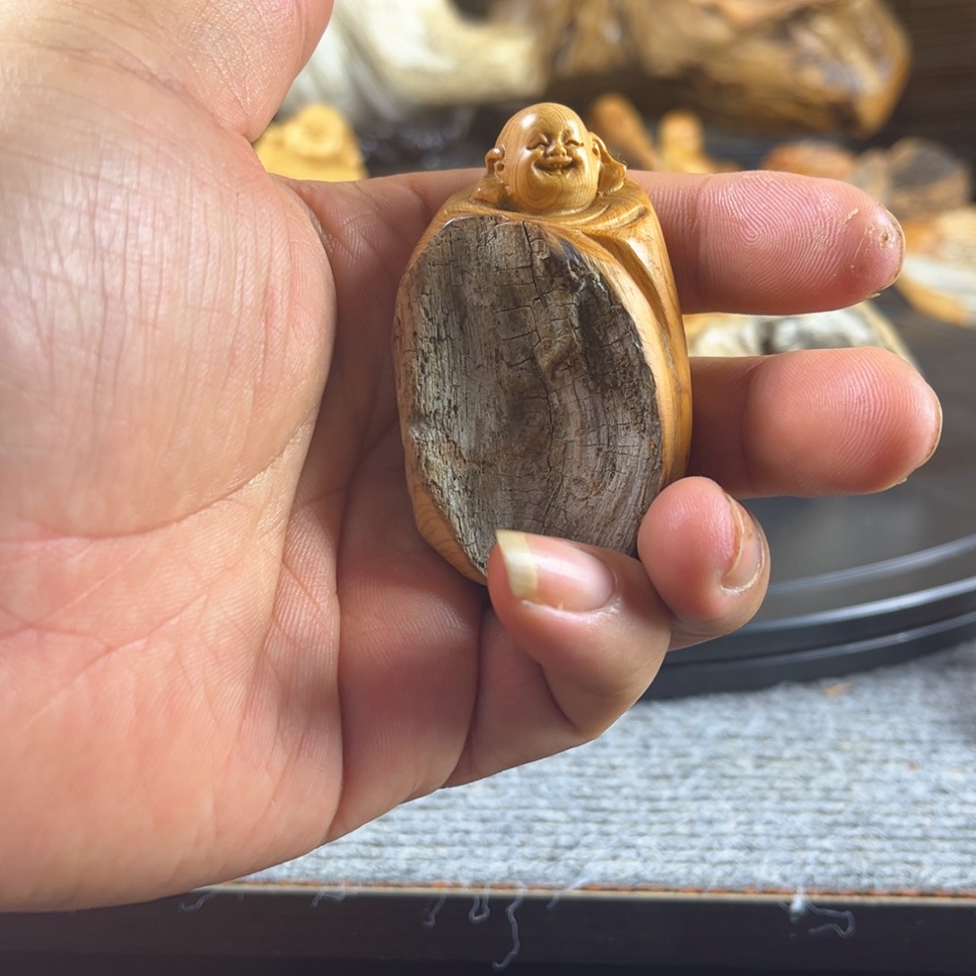 柏木l l l l l l l l l l