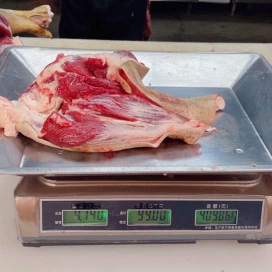 【闪购商品】冷冻保存30天包装河北省