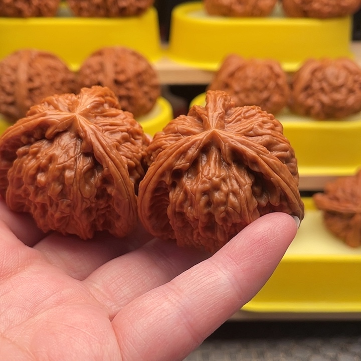 V***o大叶紫檀（黑酸枝木类）