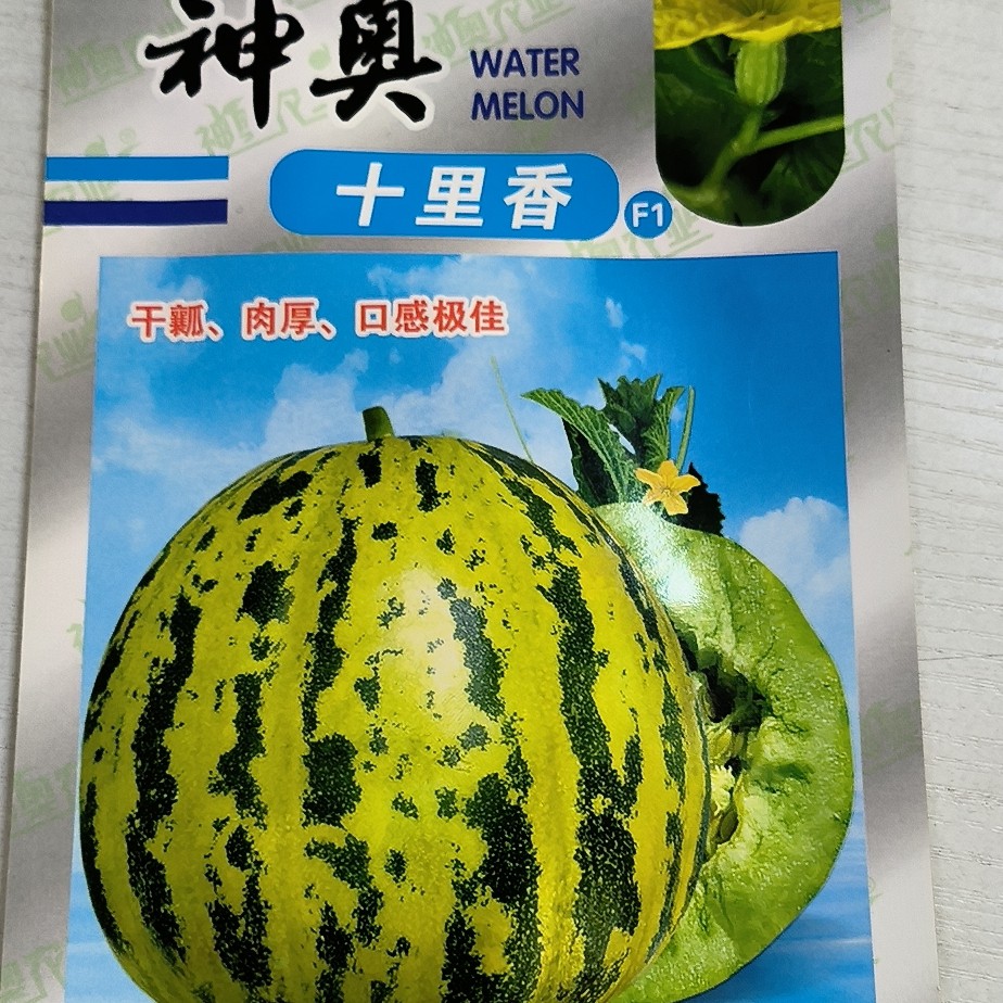 神奥十里香甜瓜种子