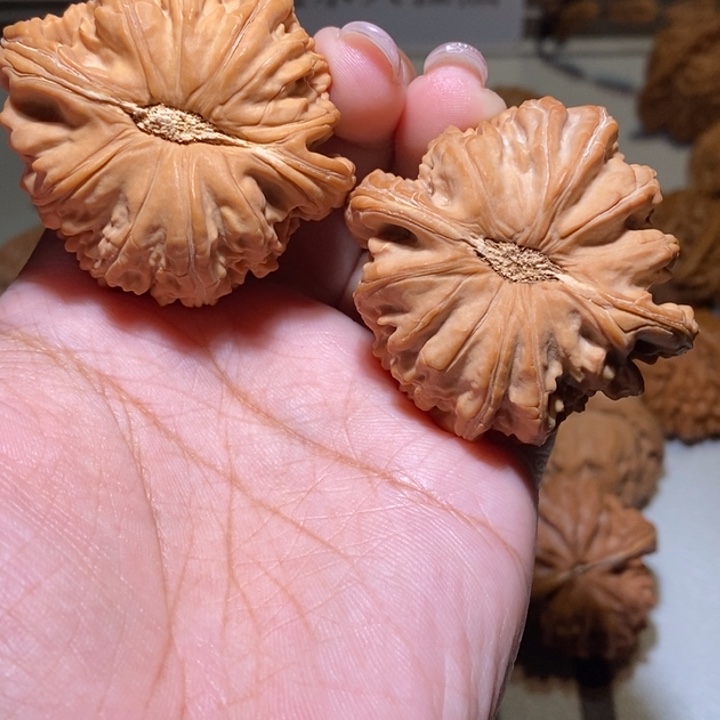 叭***叭核桃手串/手链白狮子