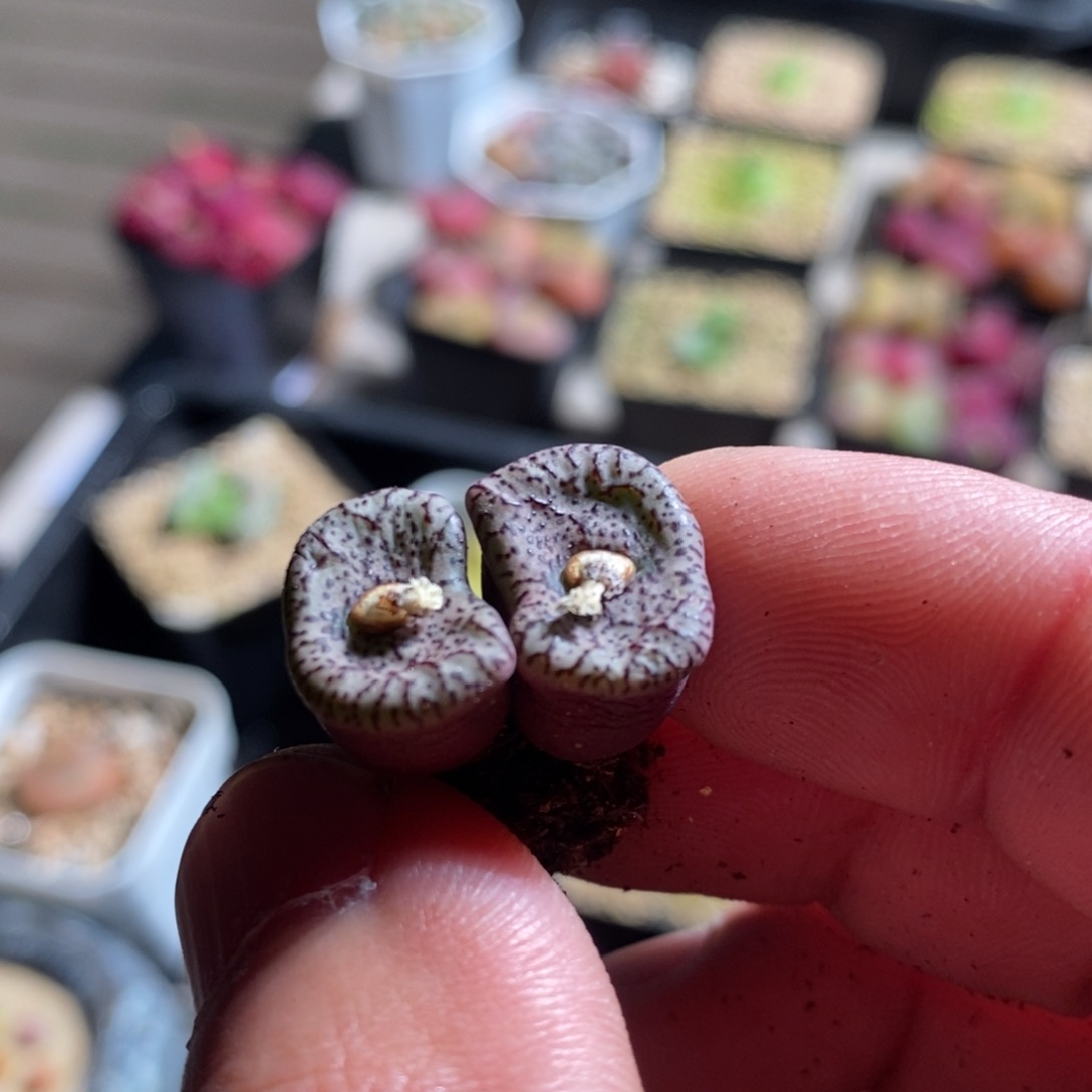 9150一个一个一个