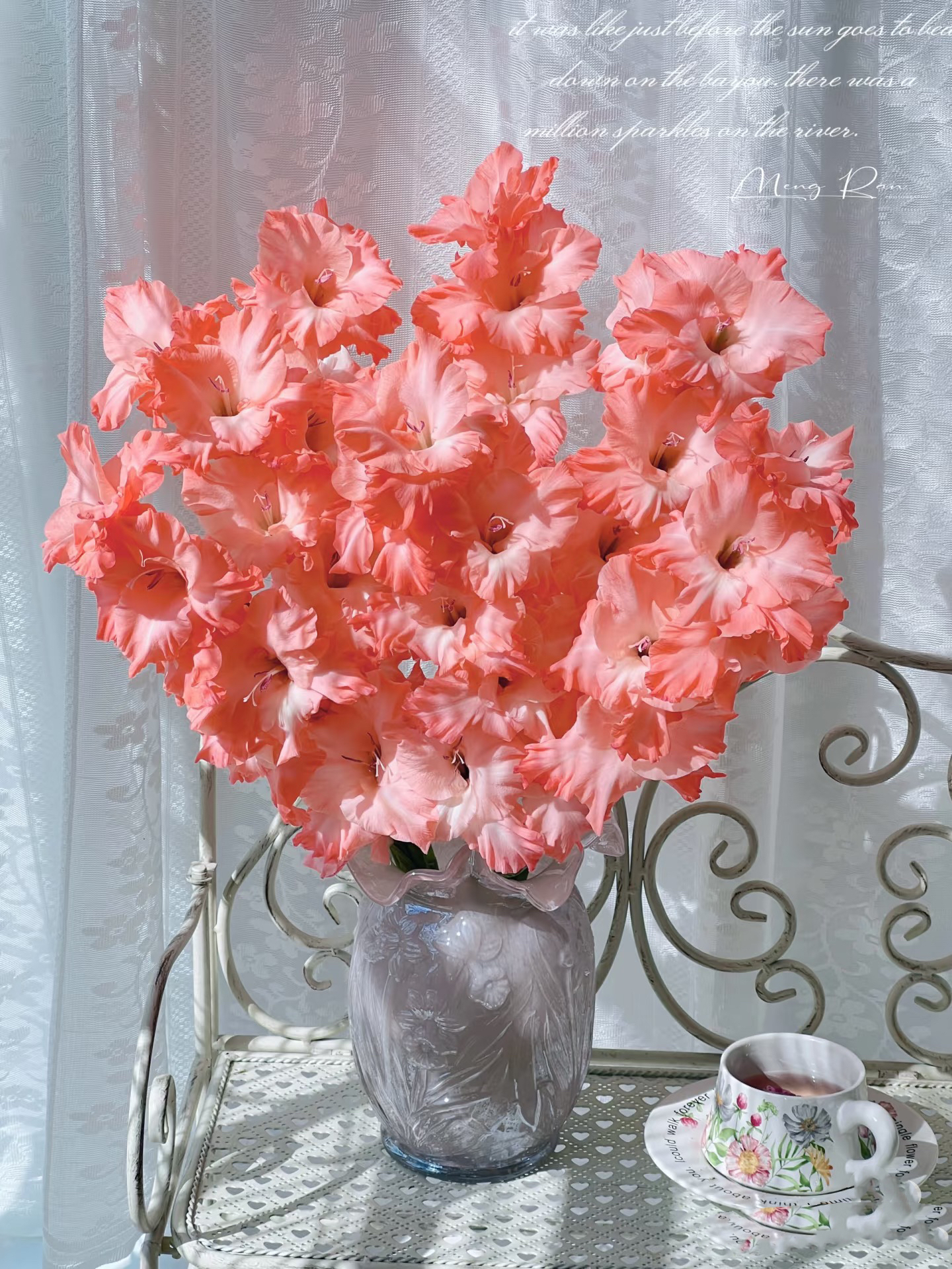 【源头一手价】卷边粉色剑兰 节节高 花期很长云南基地鲜花基地直发