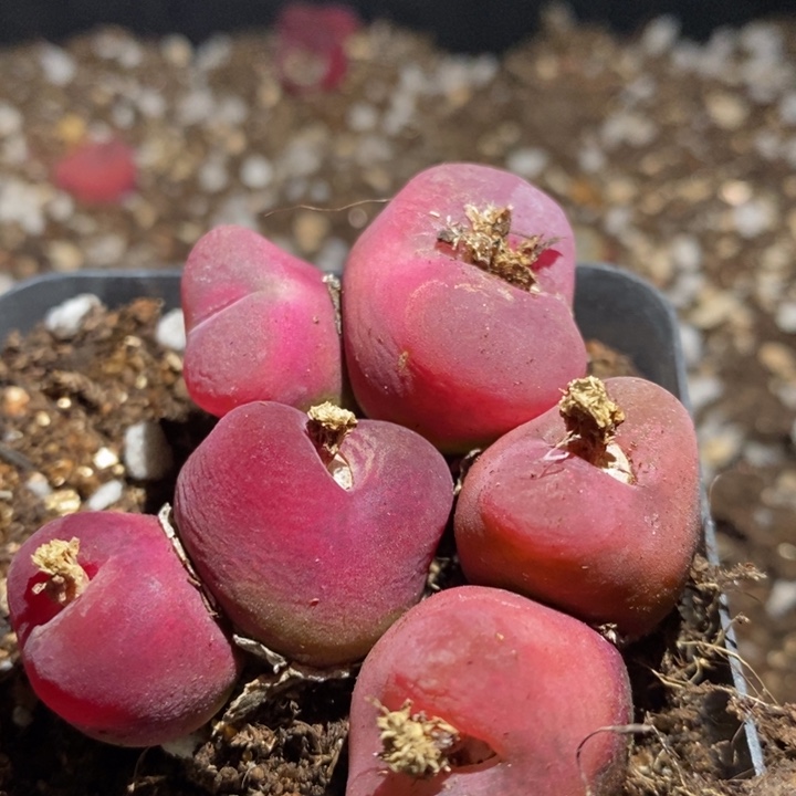 23257一组一组一组