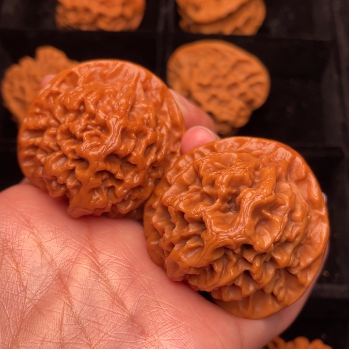 野生核桃野生核桃