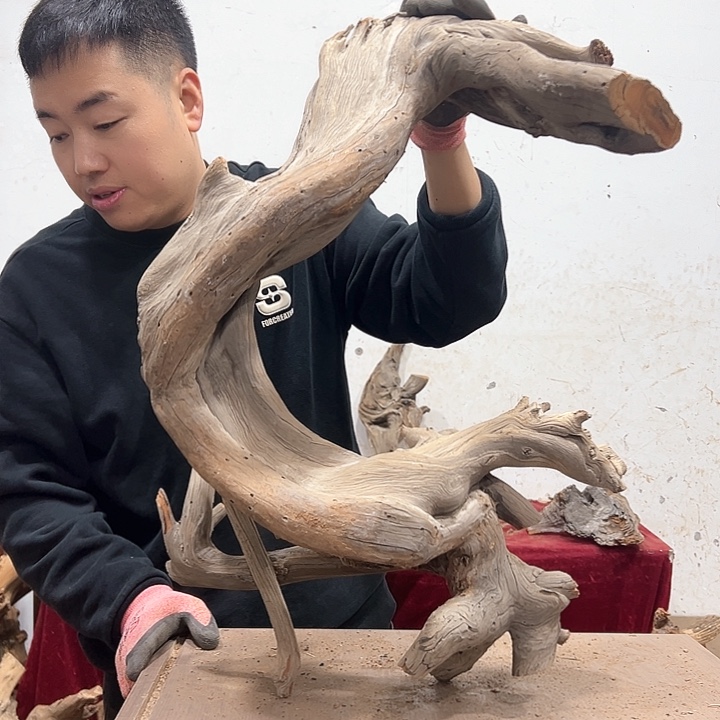 柏木田**子我们的生活也是如此的丰富