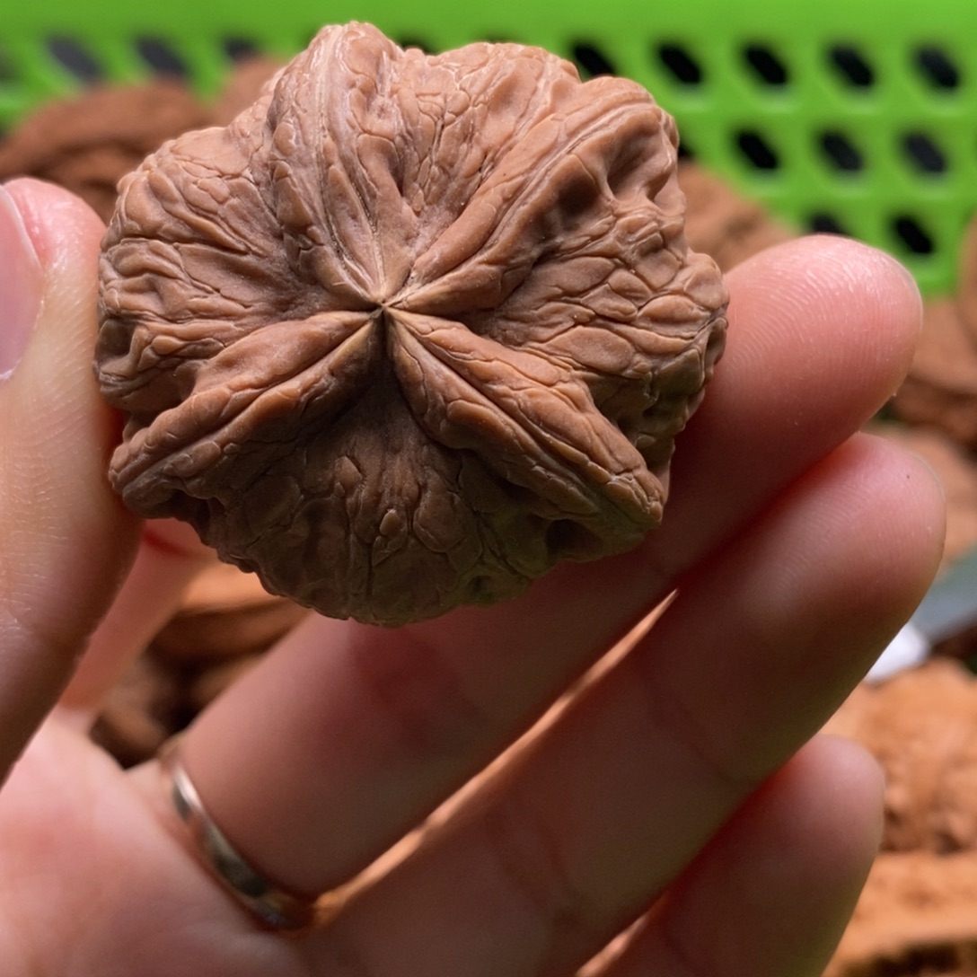 ও***地核桃定制商品不退不换