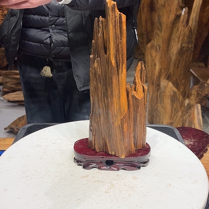 松木（琥珀木）午**鹉