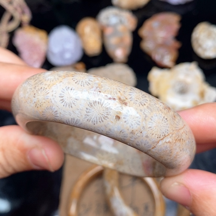 硅化珊瑚（珊瑚玉）手镯未镶嵌51