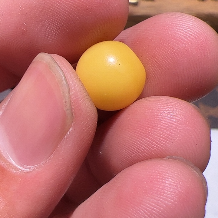 香榧木你的时候你