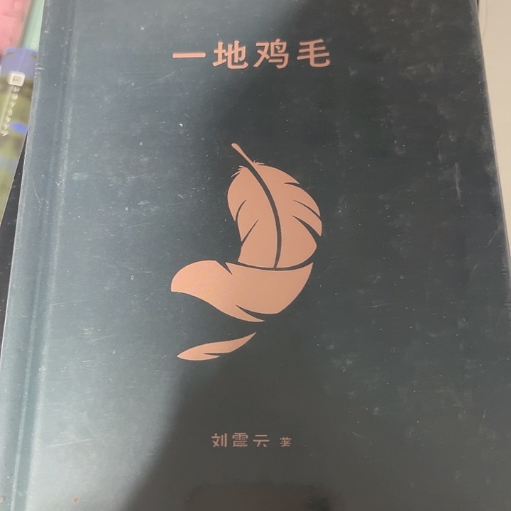 一地鸡毛新书推荐