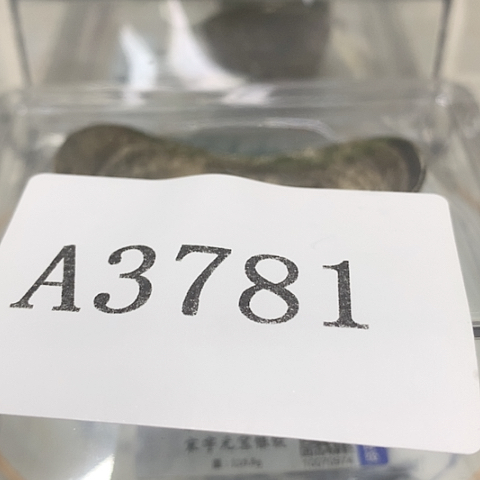 摆件酷****空1111111111