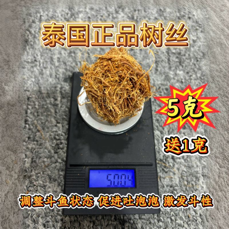 进口树丝激发斗鱼斗性调整状态促进展示打斗净化水质