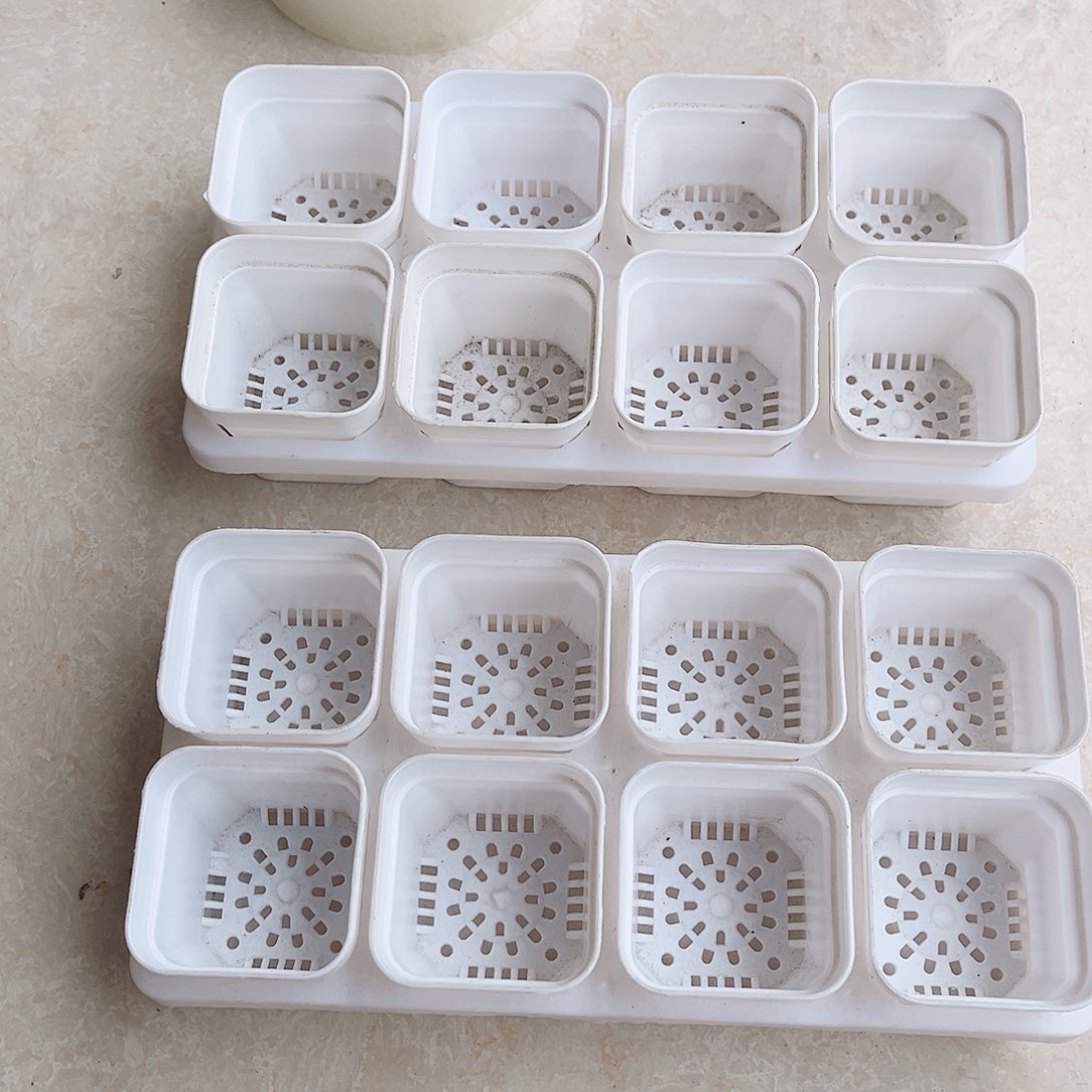 塑料福利款5.3白方盆16个带2拖架