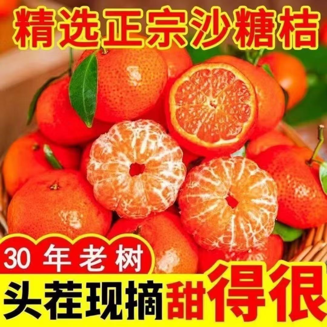 新鲜采摘5斤装金秋砂糖橘自家果园产皮薄多汁 水多新鲜·R