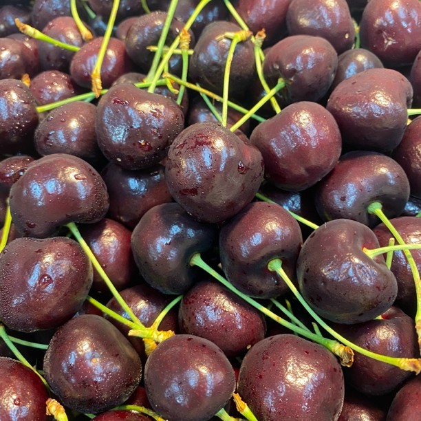 海运智利车厘子桑提娜4J5斤248元智利